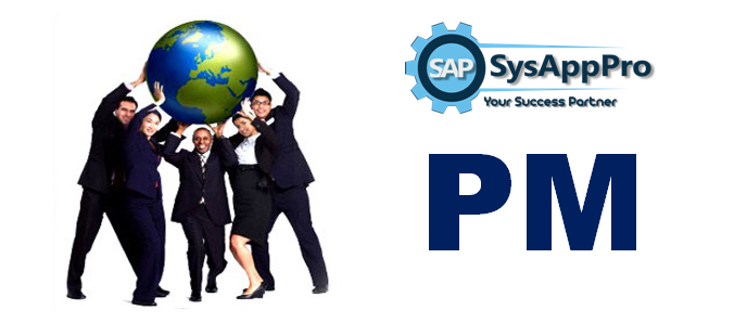 Best SAP PM training institute in Noida