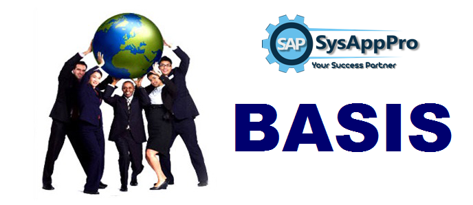 Best SAP Basis training institute in Noida